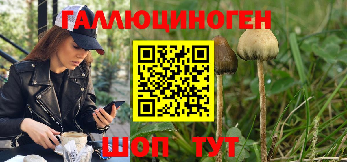 Михайловск  Галлюциногенные грибы ЛСД  Вход с VPN 